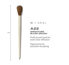 Morphe X Ariel A22 Blush Brush