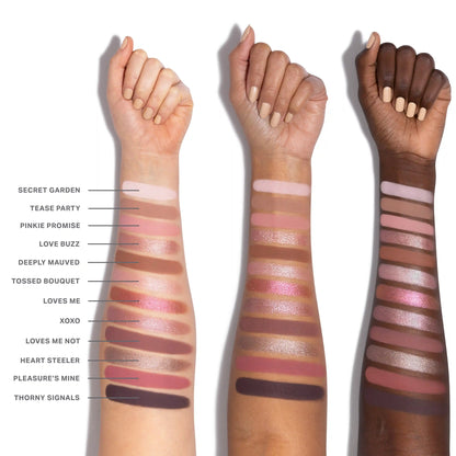 ChromaPlus 12-Pan Eyeshadow Palette
