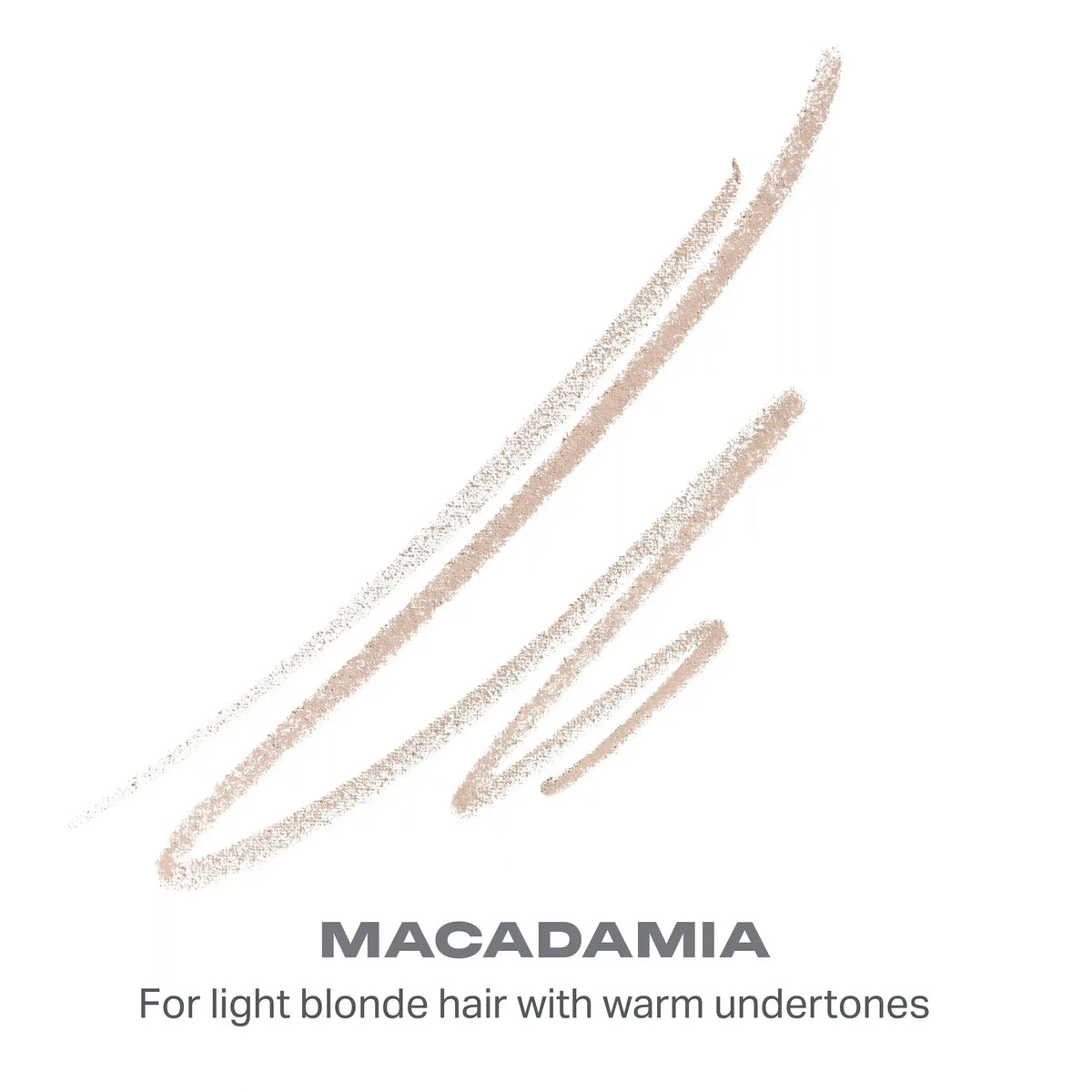 Brow Essentials Bundle