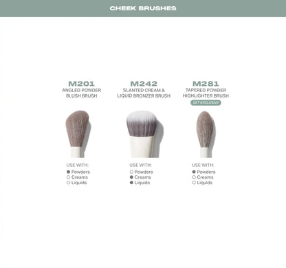 Ready, Set, Pro 16-Piece Face & Eye Brush Set